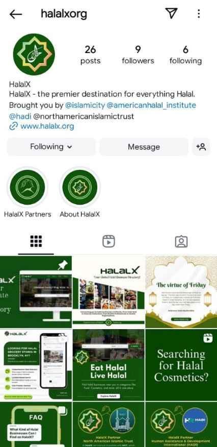 HalalX Instagram page before social media management, showing low followers and minimal engagement.