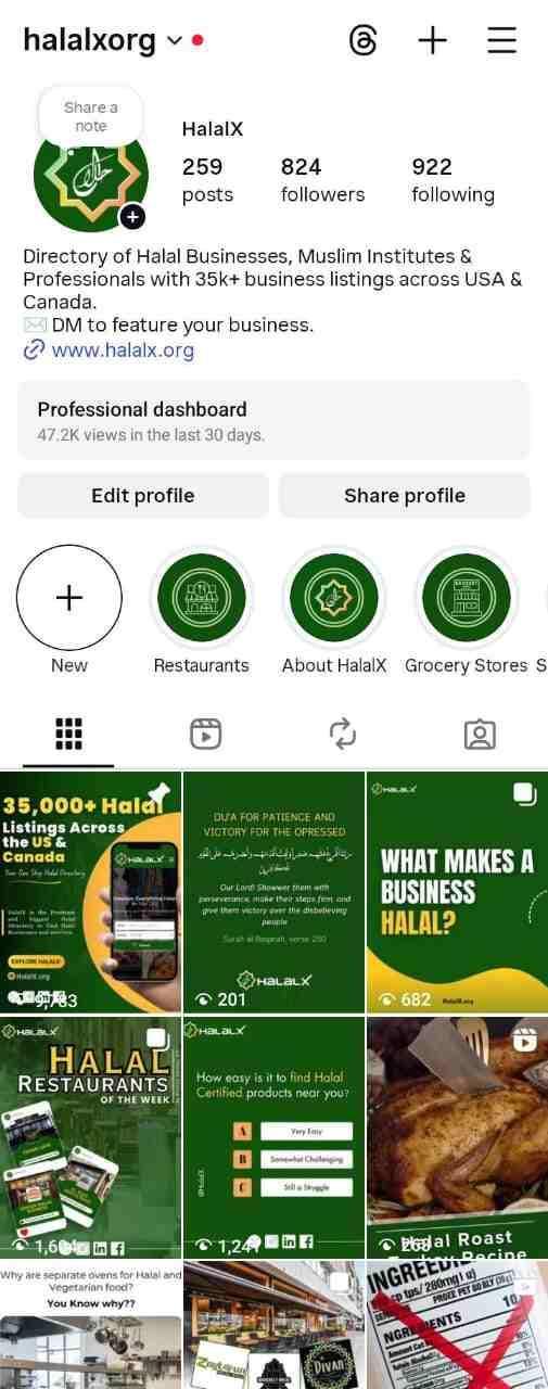 HalalX Instagram page after 5 months of organic growth with significant increase in followers and engagement.