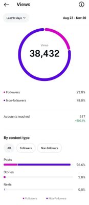 Instagram analytics screenshot showing follower growth, reach, and views for American Halal Institute over 3 months.